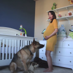 妊娠から出産までを90秒に凝縮した幸せいっぱいのタイムラプス動画