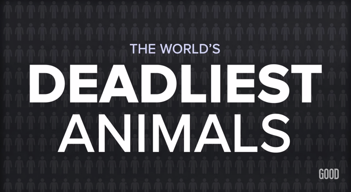 THE WORLD'S DEADLIEST ANIMALS